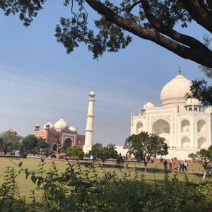 Meet your Posher, Greg